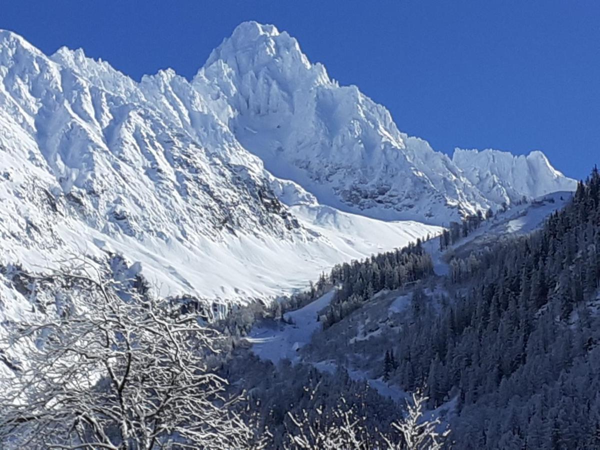 Chalets Pyrene Mont-Blanc Chamonix Mont Blanc Exterior foto